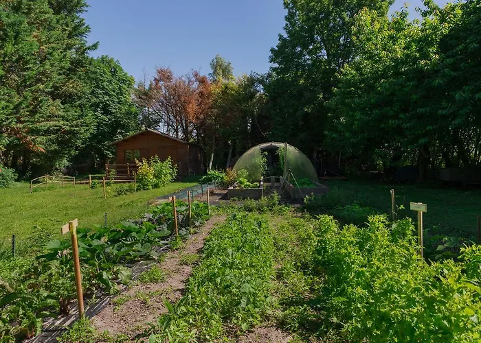 Manoir De La Roche Torin, The Originals Relais Courtils